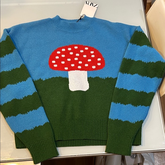 Zara Sweaters - NWT Zara thick Mushroom Sweater graphics on back !!